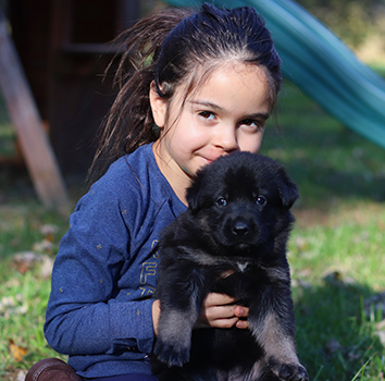 glaurung puppies